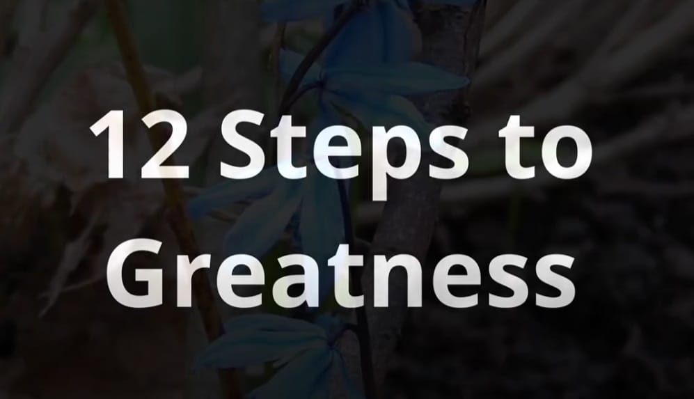 12 Steps To Greatness